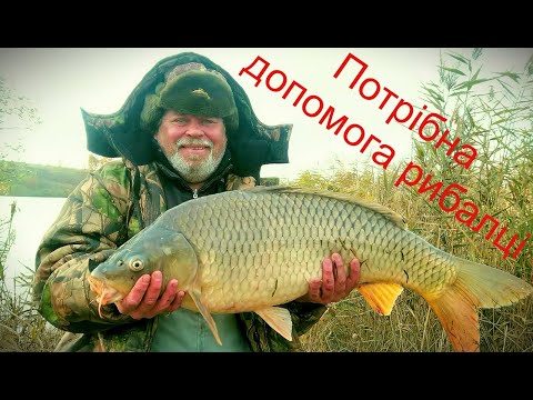Видео: Потрібна допомога рибалці!