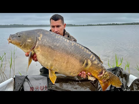 Видео: Короп велетень існує. Озеро Кричевичі