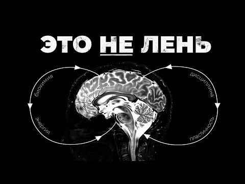 Видео: Как заставить мозг ХОТЕТЬ работать