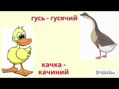 Видео: Творення присвійних прикметників.