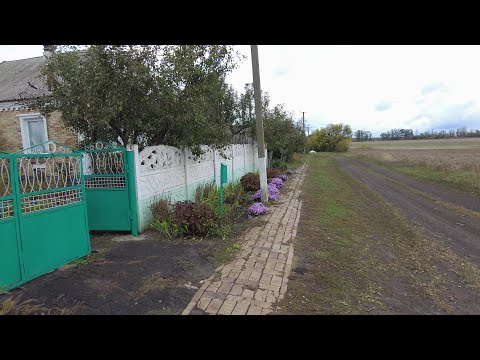 Видео: 🐈В селе у СВЕКРУНЬКИ🙋‍♀️🏡