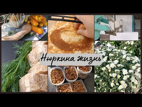 Видео: Говорю всё как есть // Медленно, но верно // Приготовила холодец // Начистили грецких орехов