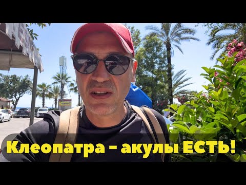 Видео: Акулы в Турции. Пляж Клеопатра не исключение!