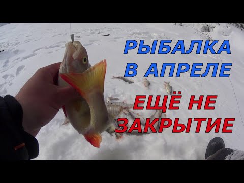 Видео: На рыбалку с дедом, не закрытие сезона.