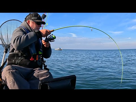 Видео: Огромная школа полосатых котиков + Лимит тройного облачения = Грандиозный финал сезона!