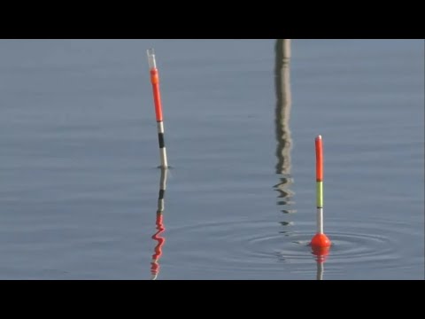 Видео: Рыбалка на поплавок в декабре по открытой воде.