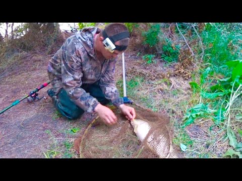 Видео: МОЩНЫЕ ДОНСКИЕ САЗАНЫ !!!!