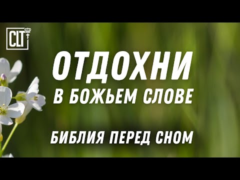 Видео: В Слове Господа мы можем УСПОКОИТЬСЯ, ОТДОХНУТЬ и РАССЛАБИТЬСЯ | Библия перед сном | Relaxing