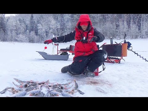 Видео: ЭТА МОРМЫШКА КОСИТ ПЛОТВУ И ОКУНЯ! ОПАСНАЯ ЕЗДА ПО ПРОМОИНАМ