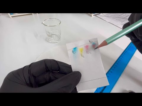 Видео: Бумажная хроматография база. Fundamentals of Paper chromatography