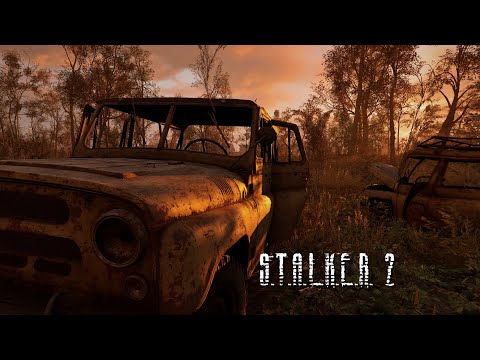 Видео: Stalker 2 (shorts стрім)