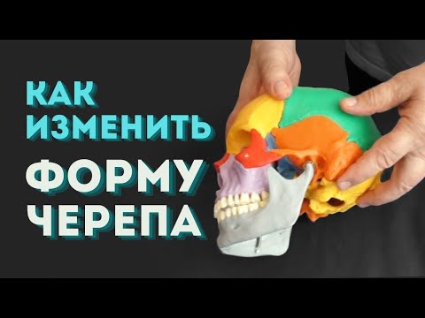 Видео: Пластический массаж головы. Изменение формы черепа, улучшение костного дыхания, подвижности костей