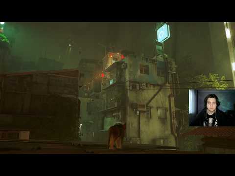 Видео: Играем в Stray | запись стрима от 22.04.25