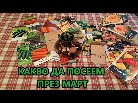 Видео: Какво можем да посеем през март - сезон 2025, моят избор - Tony's permaculture garden