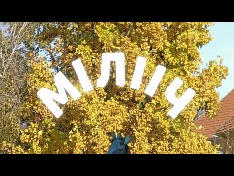Видео: Міліч