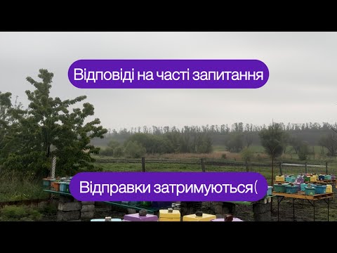 Видео: Обліт маток затримується. 🙁 Відповіді на коментарі і часті запитання❔