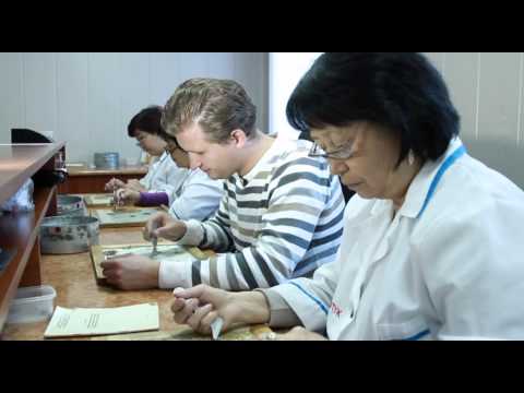 Видео: Большие города. Кокшетау. Аллея звезд
