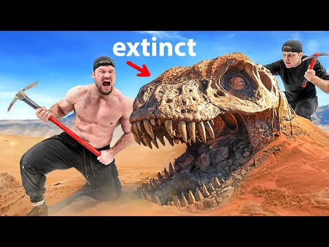 Видео: Первый, кто добыл динозавра, сохраняет его