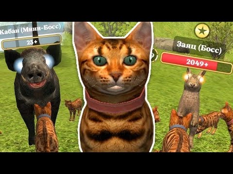 Видео: симулятор кота и кошки 🐈♂️ 🐈♀️ два босса первый заяч 🐇 второй ето енот 🦝 5 часты байов