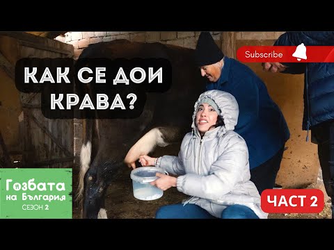 Видео: Село Белица Част 2 - ТРУДНО ЛИ СЕ ДОИ КРАВА [] Гозбата на България [] Кулинарни Пътешествия