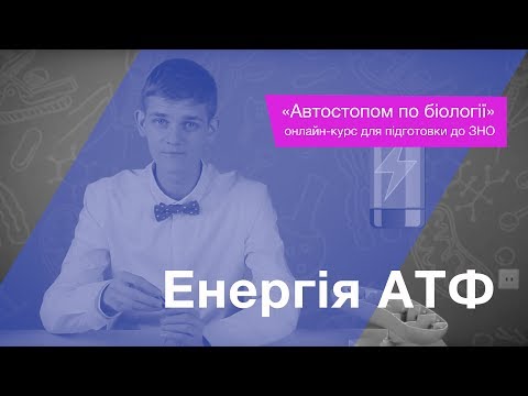 Видео: Енергія АТФ – Підготовка до ЗНО – Біологія