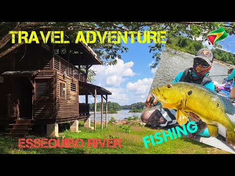Видео: КАТАНИЕ НА ЛОДКЕ И РЫБАЛКА НА ПОРОГАХ РЕКИ ЭССЕКИБО.