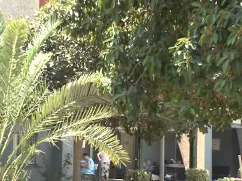 Видео: Социальное жилье в Израиле:  "зонтик": брать....или не брать