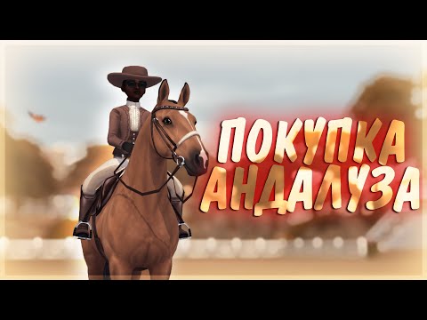 Видео: ПОКУПКА АНДАЛУЗА | STAR STABLE ONLINE