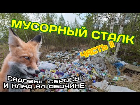 Видео: Мусорный сталк (добиваю секретную свалку и клад на обочине). Часть II.