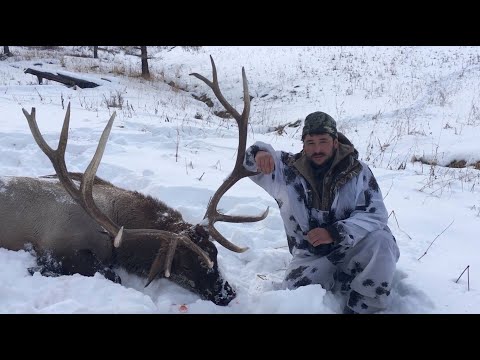 Видео: Охота на марала. Восточно-Казахстанская область. Maral stag hunting in the East Kazakhstan region.