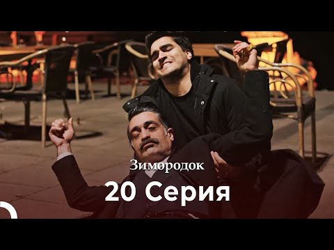 Видео: Зимородок 20 Cерия (Русский дубляж) (4K)