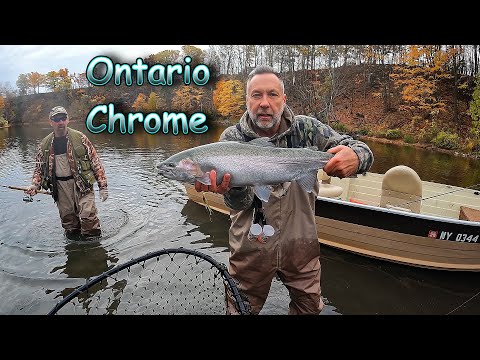 Видео: Онтарио Стилхед — High Flying Chrome