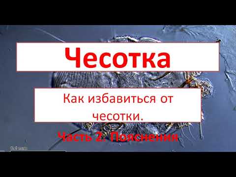 Видео: Как избавиться от чесотки. Часть 2 . Пояснения