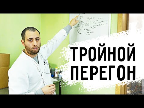 Видео: Тройная дистилляция / ТЕОРИЯ