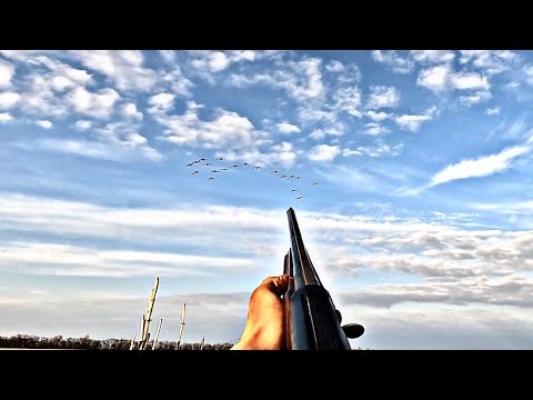 Видео: ОХОТА НА ГУСЯ ВОЛГОГРАД(2024)ТАКОЙ ОХОТЫ ЕЩЕ НЕ БЫЛО!!!