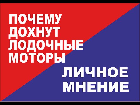 Видео: Когда и почему дохнут лодочные моторы