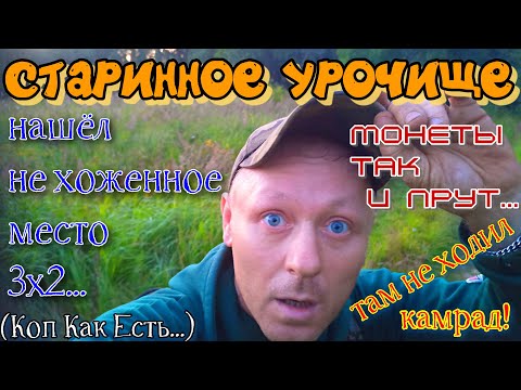 Видео: Старинное урочище.Нашёл не битое место,где полно монет!Коп-разведка металлоискателем.надо успеть!