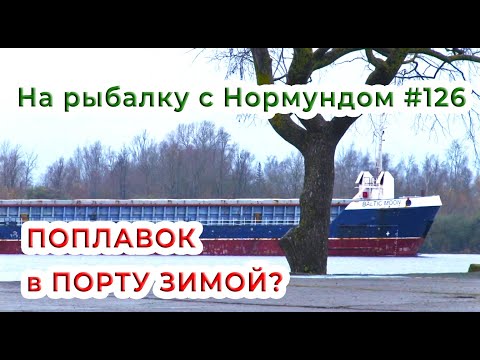 Видео: Что можно поймать на ПОПЛАВОК в ПОРТУ ЗИМОЙ? / На рыбалку с Нормундом #126