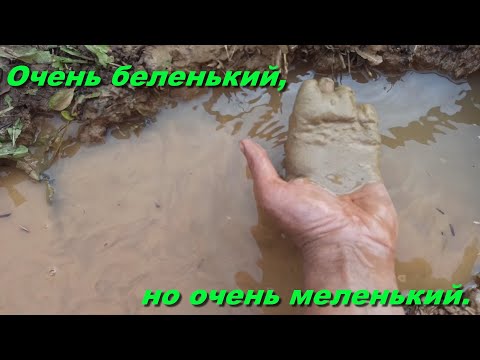 Видео: Абиссинская скважина.На белом но очень мелком песке.