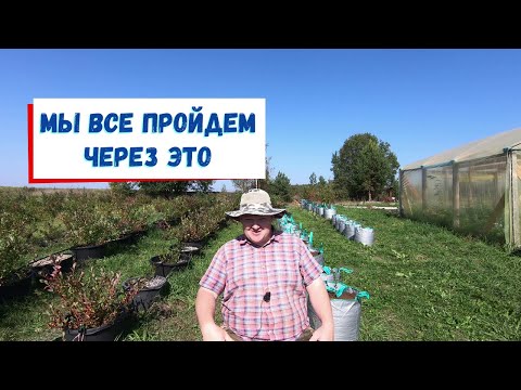 Видео: Ошибки это хорошо