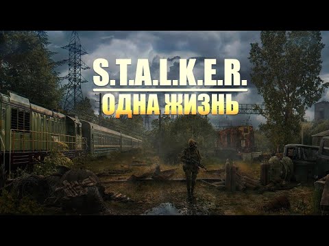 Видео: ▸ STALKER GAMMA | ОДНА ЖИЗНЬ ▸ СТРИМ 4-й ▸ F