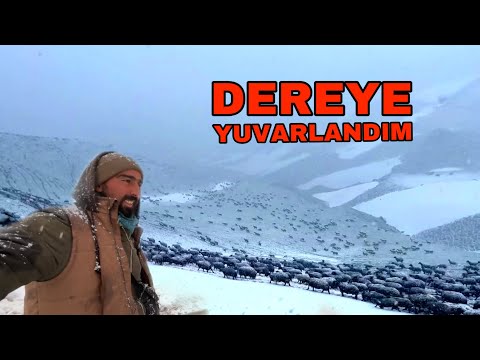 Видео: В пути миграции из-за снежной бури -- мы на 18-м дне пути миграции