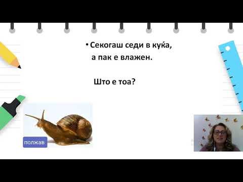 Видео: IV одделение - Македонски - Забавна традиција