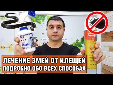 Видео: Как вылечить змею от клещей — 3 способа лечения змеи от клещей