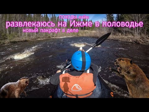Видео: ПОХОДЫ лайв: развлекаюсь на Ижме в половодье. Новый пакрафт в деле