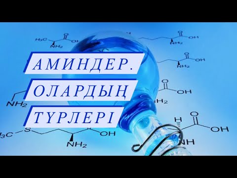Видео: Аминдер. Аминдердің түрлері