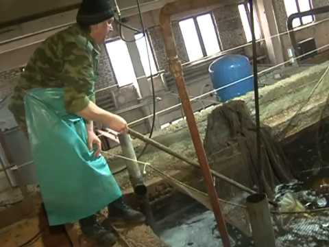 Видео: Куровской рыбзавод