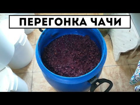 Видео: Чача из виноградных выжимок (жмыха) - Перегонка