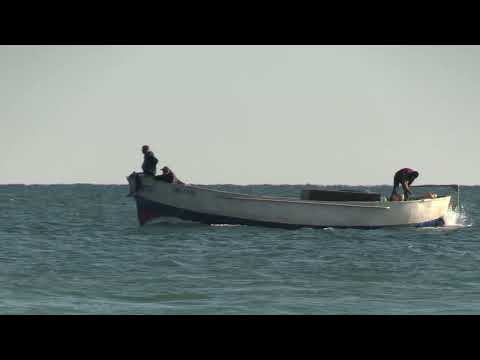 Видео: В последнюю осень...