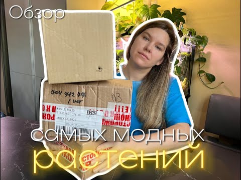 Видео: Купила самые популярные комнатные растения 2025 года.